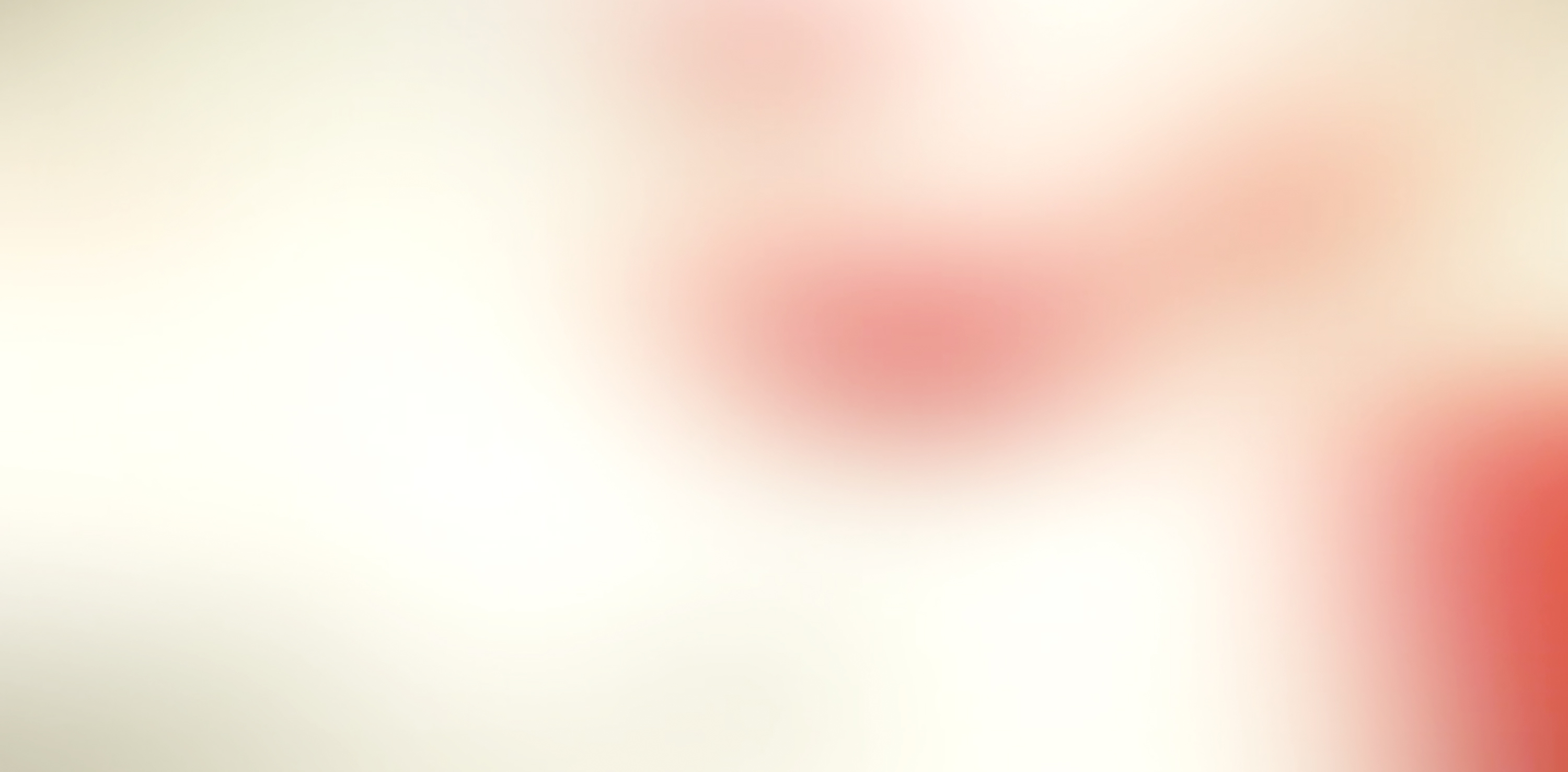 Fondo video flor
